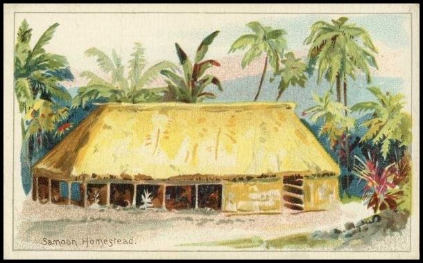 20 Samoan Homestead